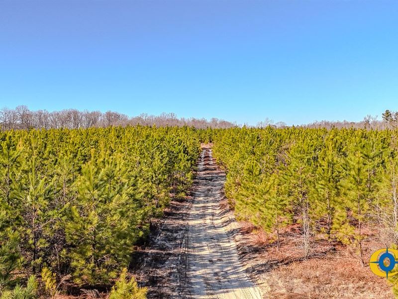 Bradley Trail North : Jefferson : Kershaw County : South Carolina