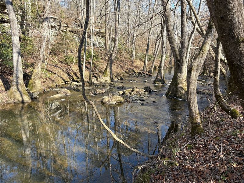 113 Acre Homestead Farm in Lawrence : Moulton : Lawrence County : Alabama