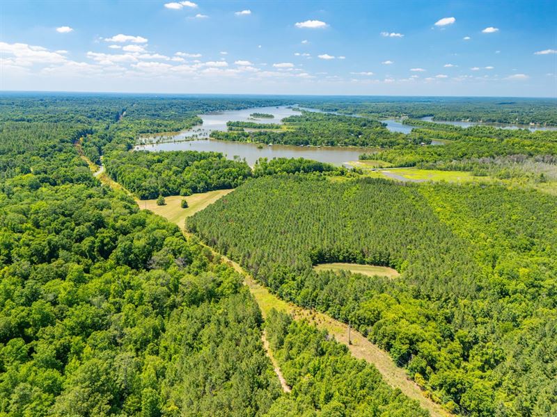 1656 Acres Ellis Landing Tract : Camden : Wilcox County : Alabama