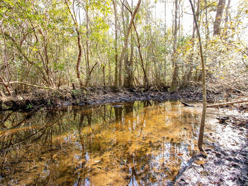 120 Ac Hunting Property with Flowin : Bonifay : Holmes County : Florida