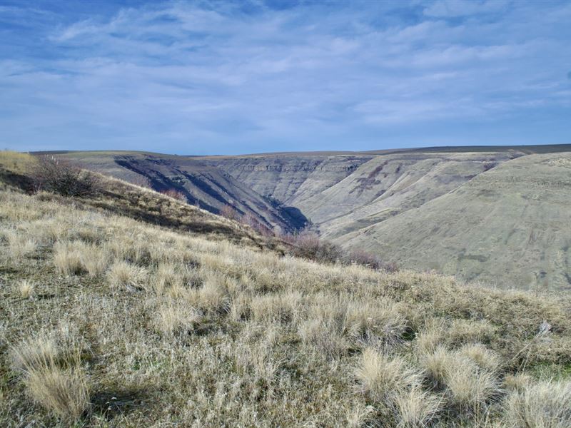 86 Acres in Lewiston, Idaho : Lewiston : Nez Perce County : Idaho