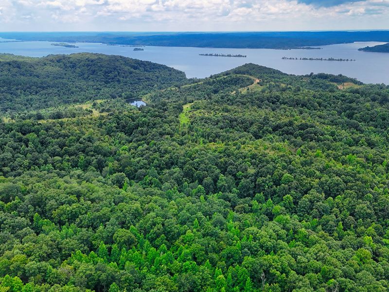 44.24 Acres in Stewart, TN : Stewart : Stewart County : Tennessee