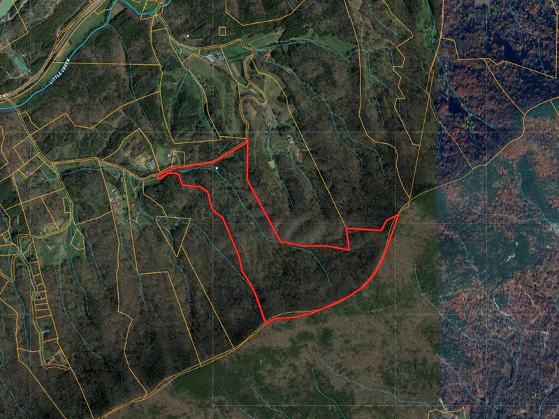 70 Acres in Union County, TN : Luttrell : Union County : Tennessee