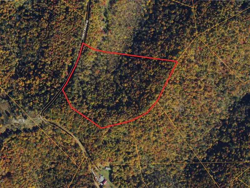 30 Acres in Braxton County WV : Duck : Braxton County : West Virginia