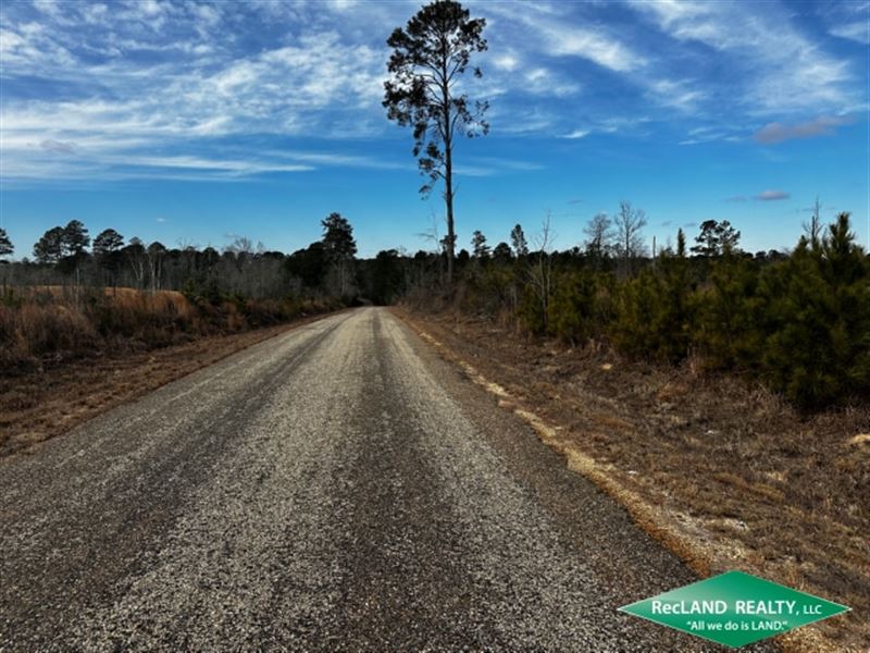 37 Ac, Rural Home Site Tract : Lillie : Union Parish : Louisiana