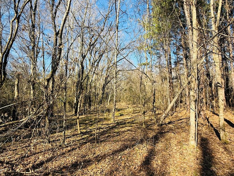 24 Acres in Hinds County, MS : Terry : Hinds County : Mississippi