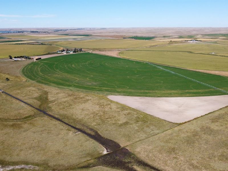 Sedgwick 1/4 Pivot and Pasture : Sedgwick : Sedgwick County : Colorado