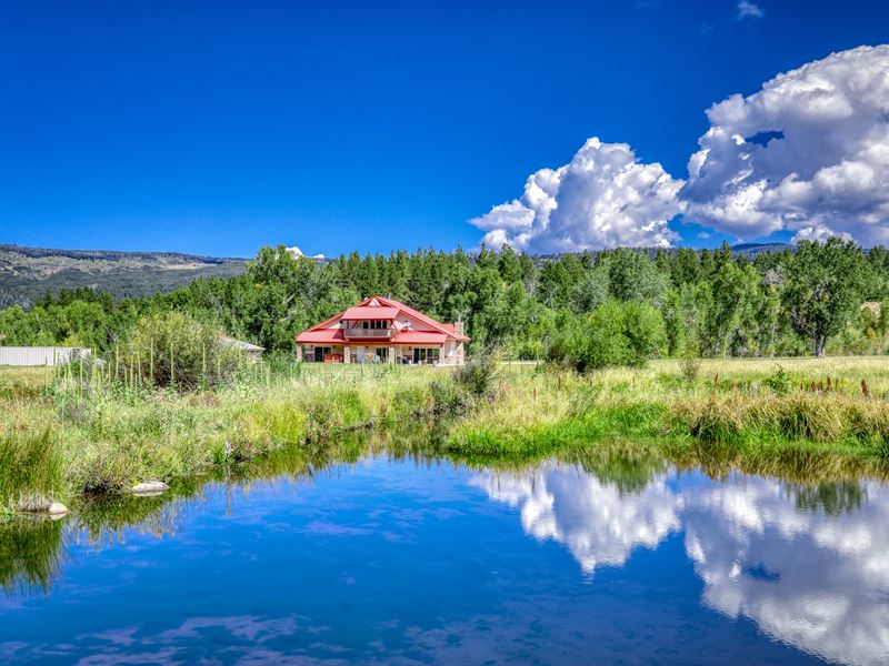 Ranch for Sale in Tierra Amarilla : Tierra Amarilla : Rio Arriba County : New Mexico