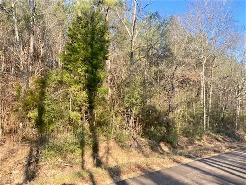 32.5 Acres Walthall Co : Tylertown : Walthall County : Mississippi