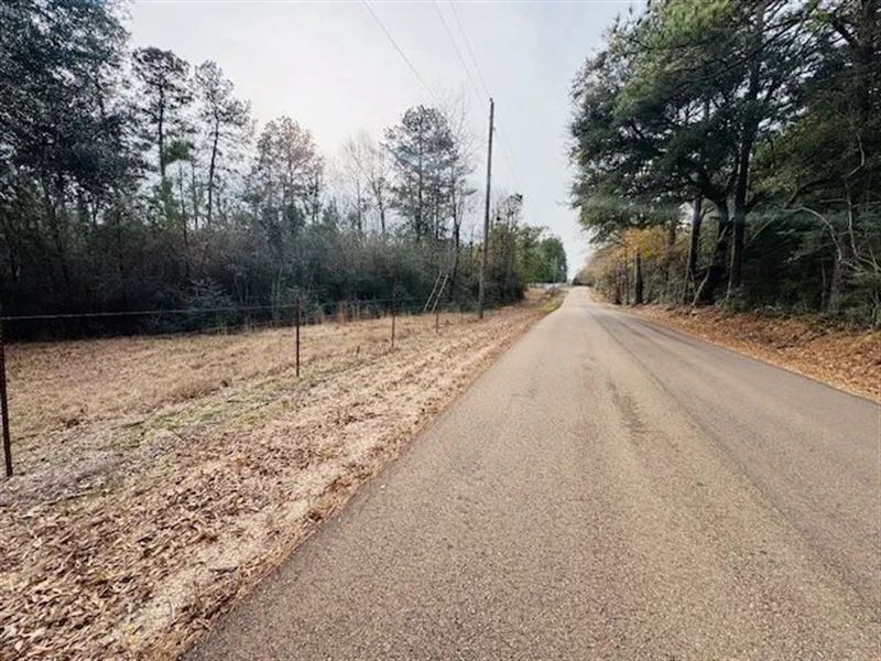 26.5 Acres / Ed Taylor Road / Tyler : Tylertown : Walthall County : Mississippi