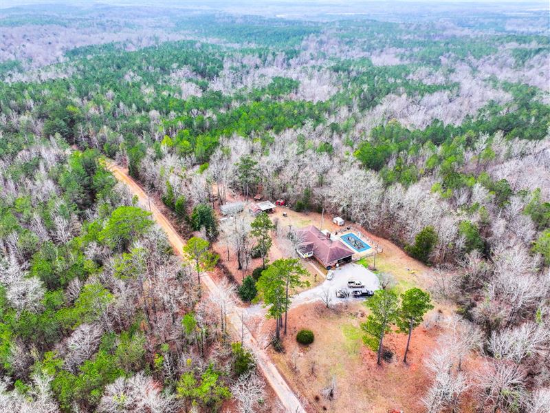 100 Acres in Wilcox County : Forest Home : Wilcox County : Alabama