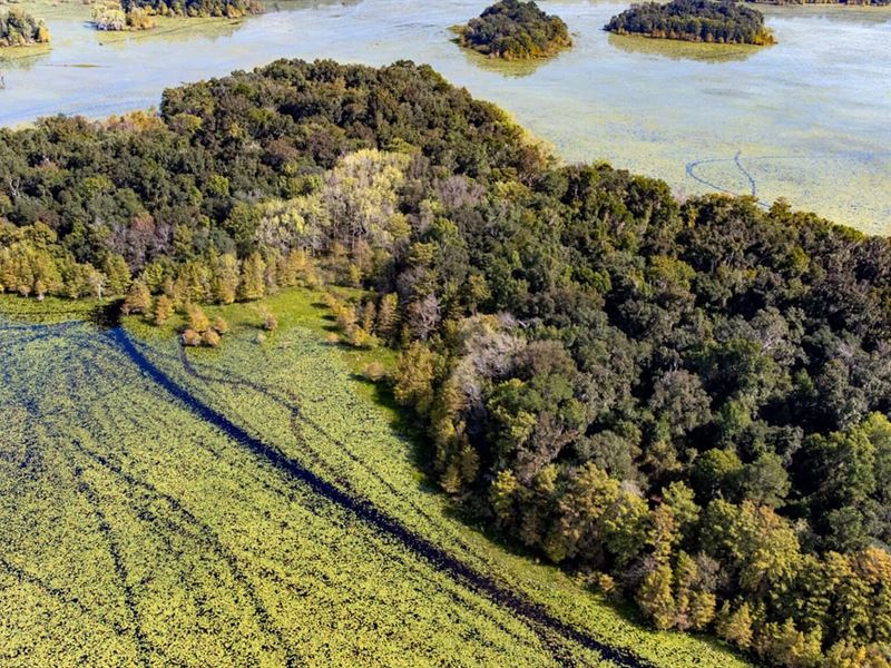 Island Living on 18-Ac Duck Hunting : Tallahassee : Leon County : Florida