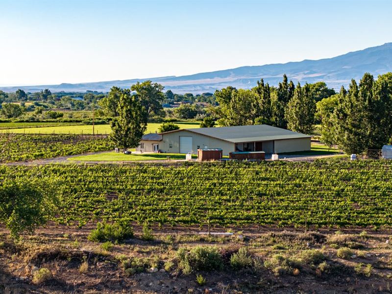 Berkeley Estates Winery Building : Olathe : Montrose County : Colorado