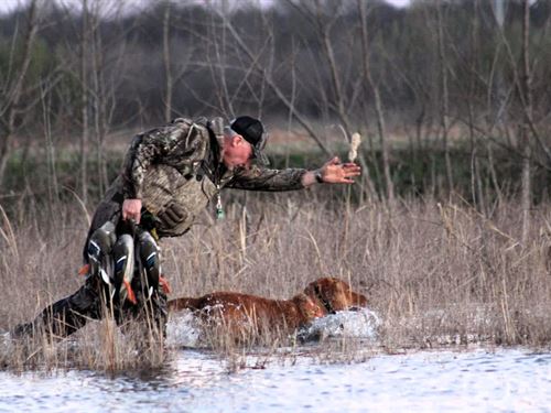 The Confluence 485 : Tichnor : Arkansas County : Arkansas