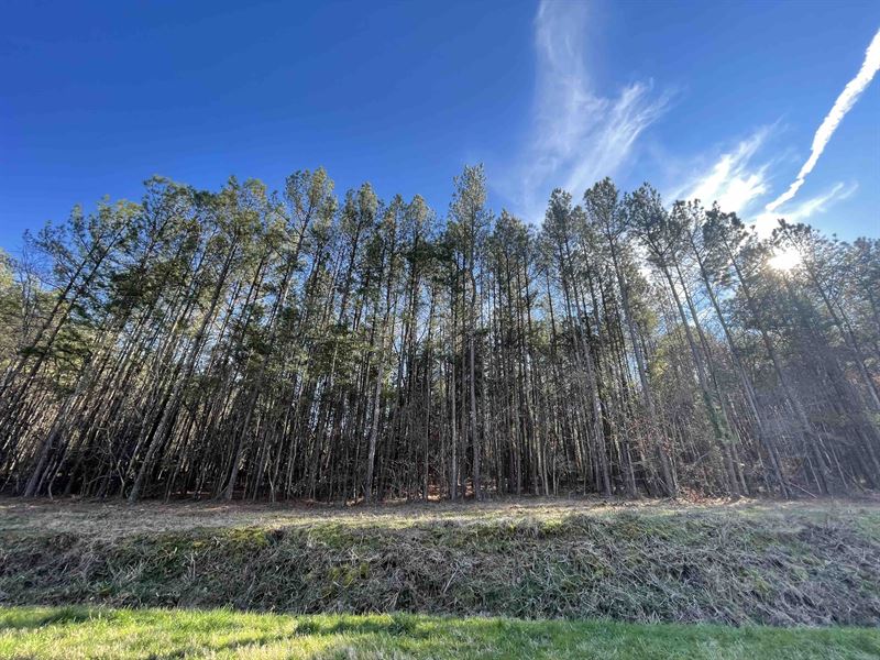 Dividable 52.52 Wooded Acres : Adairsville : Bartow County : Georgia