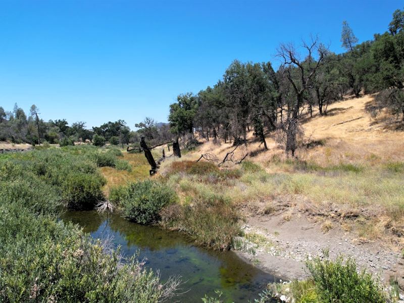 40 Acres in Pope Valley, Napa : Pope Valley : Napa County : California