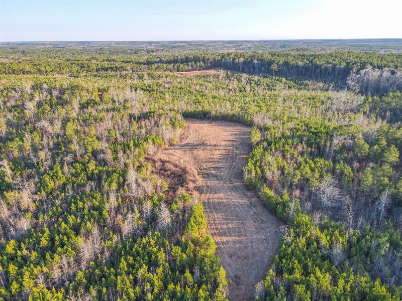 74 Acres Chambers Co, Hunting : Wadley : Chambers County : Alabama