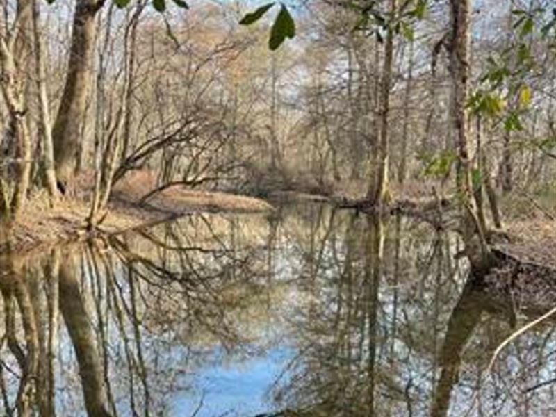 Recreational / Hunting Tract : Hawkinsville : Pulaski County : Georgia