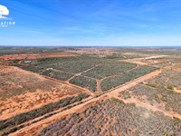 Jourdanton 101-T4, Only $15K Down : Jourdanton : Atascosa County : Texas