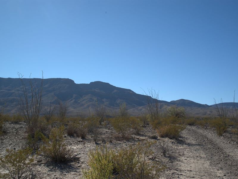 Adjoining Tracts, No Credit Check : Sierra Blanca : Hudspeth County : Texas