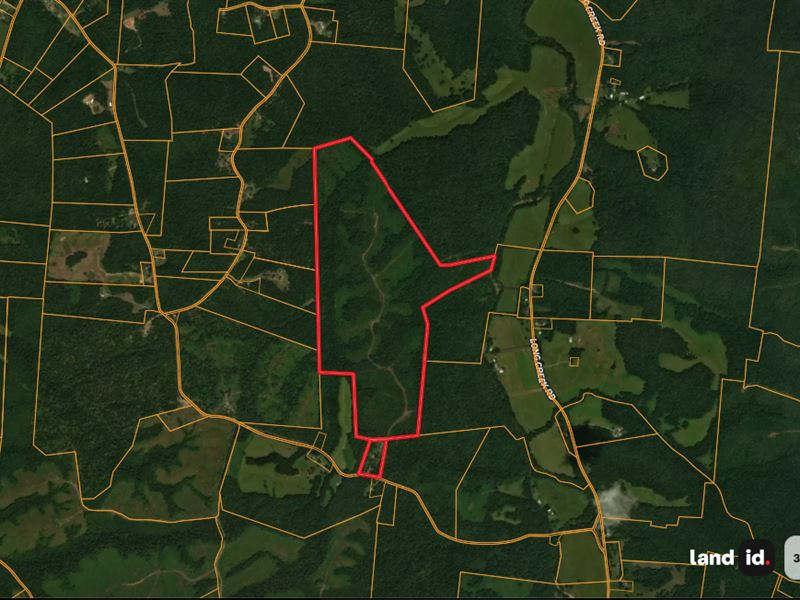 224.6 Acres in Stewart County, TN : Dover : Stewart County : Tennessee