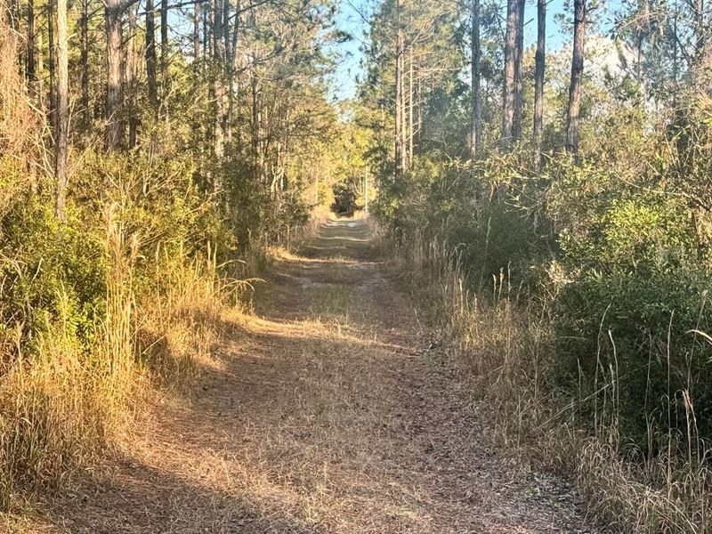 Campbell Rd 52 : Bronson : Levy County : Florida