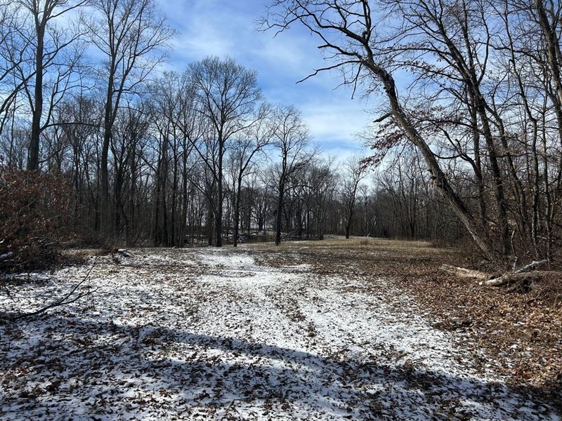 42 Acres with Road Frontage : Cayuga : Vermillion County : Indiana