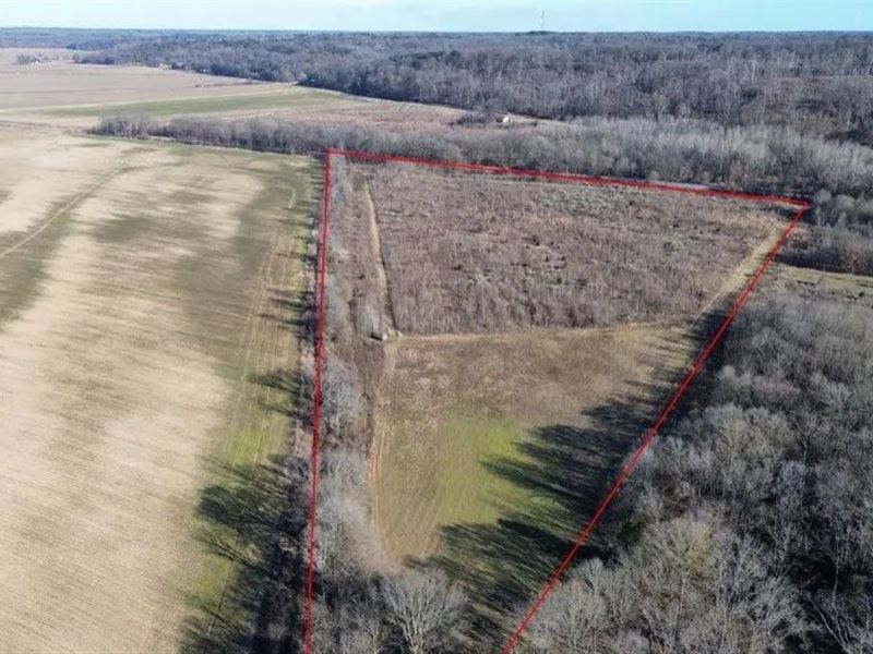 132.2 Acres in Yazoo County in Yazo : Yazoo City : Yazoo County : Mississippi