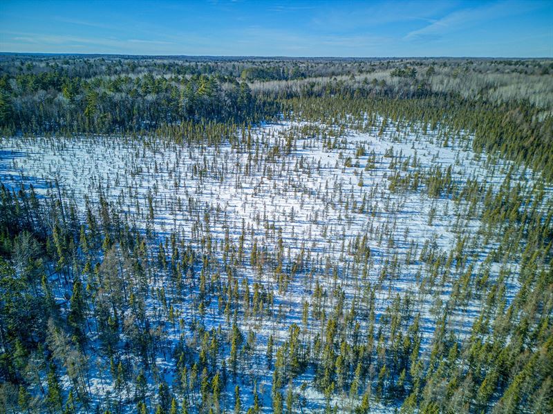 40 AC Near Ottowa Forest : Watersmeet : Gogebic County : Michigan