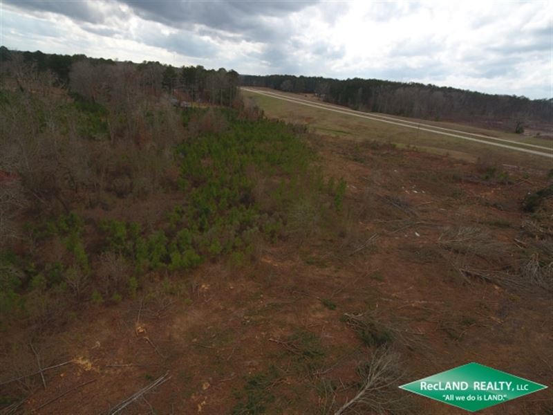 28 Ac Timberland for Home Site : Bernice : Union Parish : Louisiana