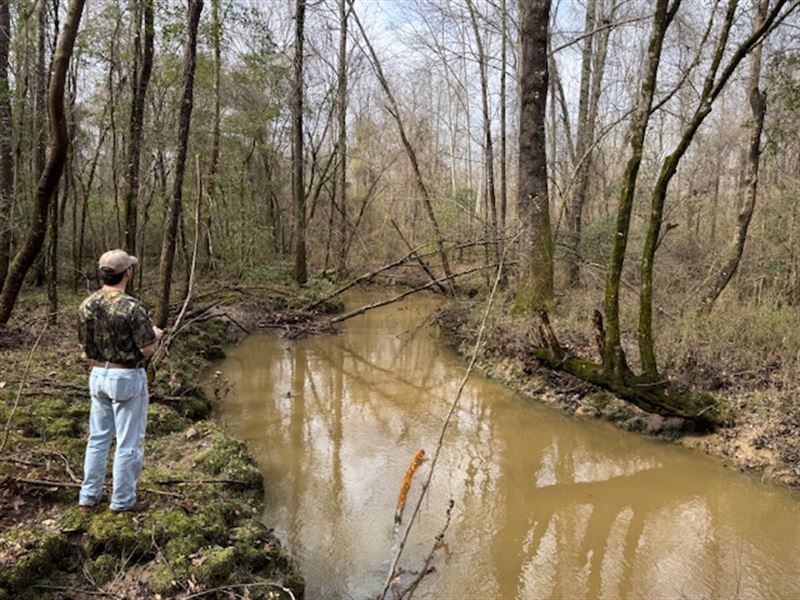 Beautiful Track, Hunting, Fishing : Bogue Chitto : Lincoln County : Mississippi