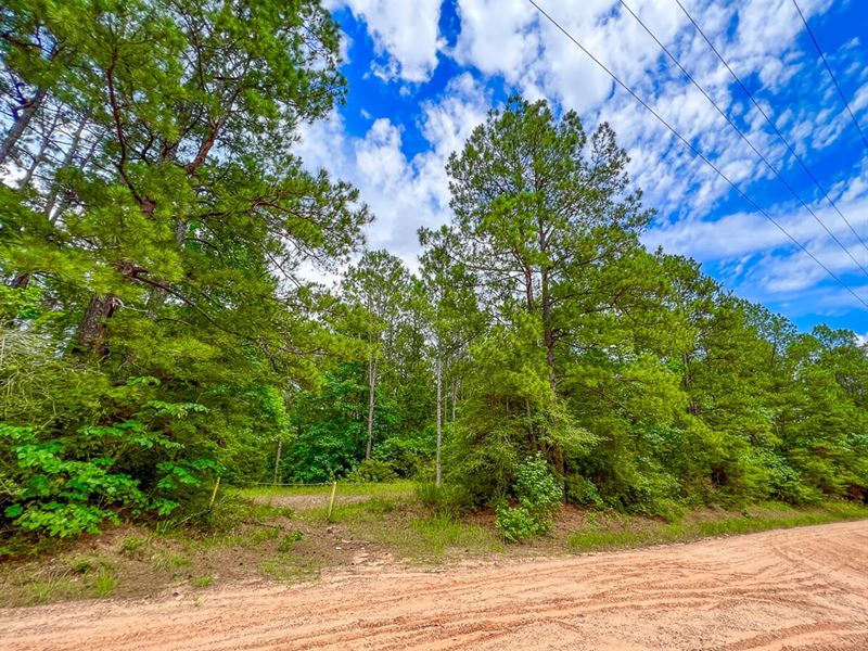 10 Acres, T-14A, Hickman Rd : Corrigan : Polk County : Texas