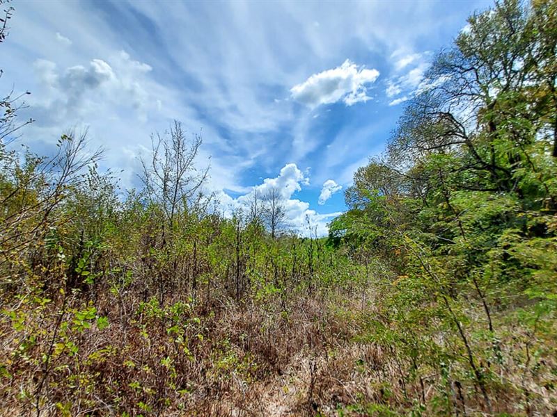 39 Acres, Chandlers Way : Huntsville : Walker County : Texas