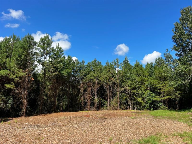 12 Acres, T-1, Eugene Walker Road : Huntington : Angelina County : Texas