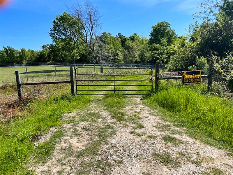 25 Acres, FM 356 : Sebastopol : Trinity County : Texas