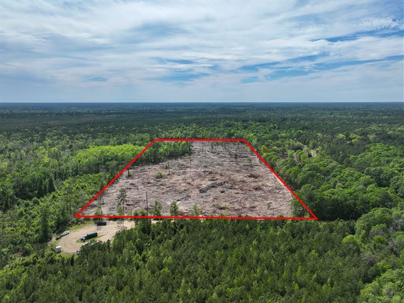 25 Acres, County Road 4100 : Kirbyville : Newton County : Texas