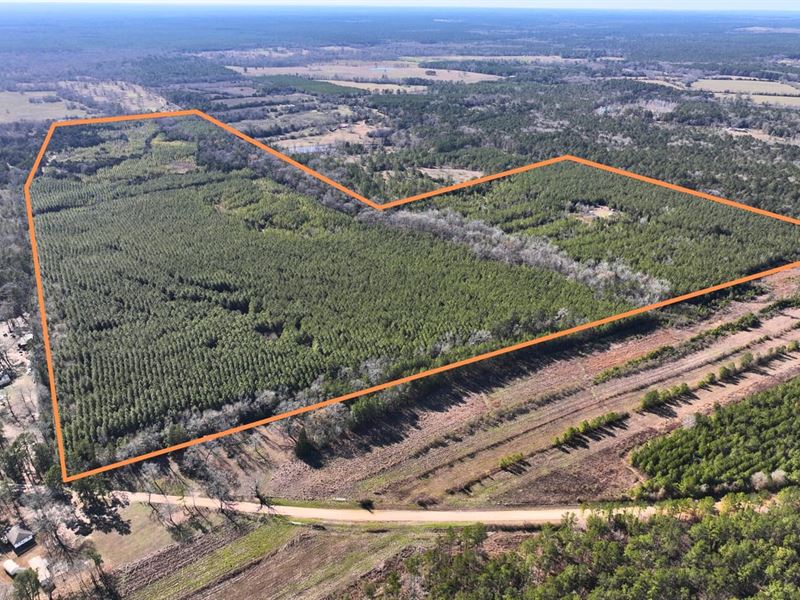 163 Acres, Kittrell Rd : Oakhurst : San Jacinto County : Texas