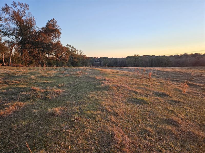 Big Spring Seventy : Brundidge : Pike County : Alabama