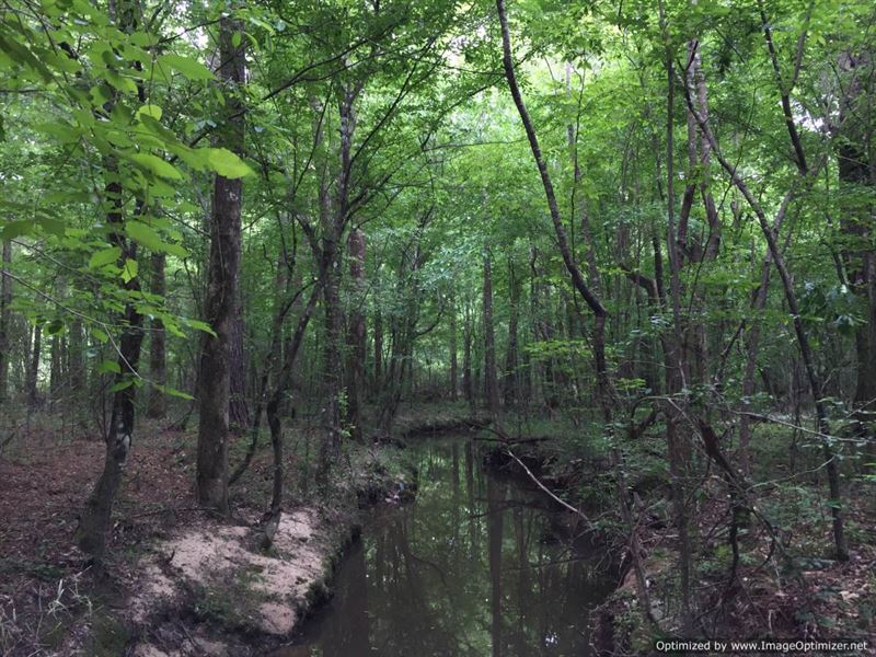 Hunting Paradise, 10 Acre Lake : Ruth : Lincoln County : Mississippi