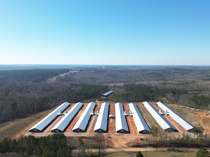 New 8 House Broiler Poultry Farm : Bowman : Elbert County : Georgia