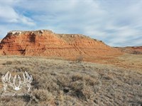 Oklahoma Quail Hunting Ranch : Freedom : Woods County : Oklahoma