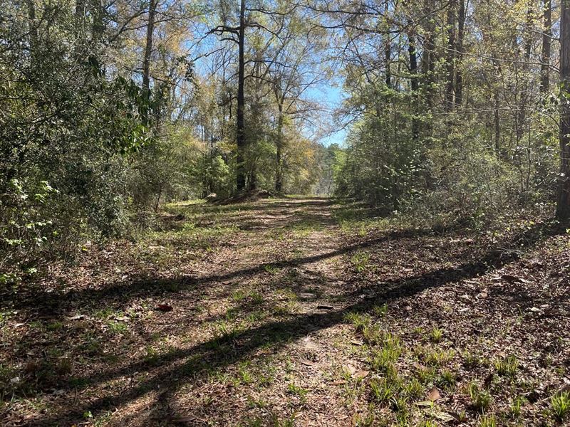 87 Ac George Boles Rd : Andalusia : Covington County : Alabama