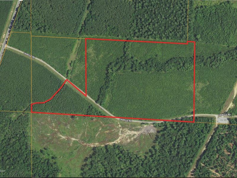 59.71 Acres in Drew County, AR : Monticello : Drew County : Arkansas