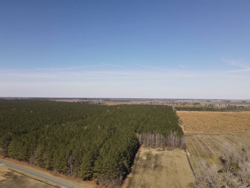 Recreational Land in Pinetown, NC : Pinetown : Beaufort County : North Carolina