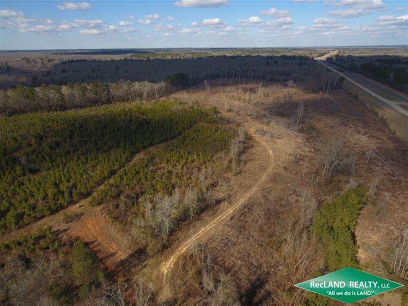 105 Ac Timberland for Home Site : Bernice : Union Parish : Louisiana