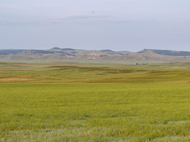 Wyo Land & Cattle Company Option C : Lusk : Niobrara County : Wyoming