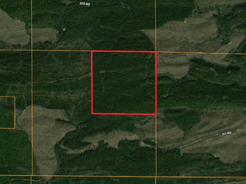 160 Acres in Umpire, AR : Umpire : Howard County : Arkansas