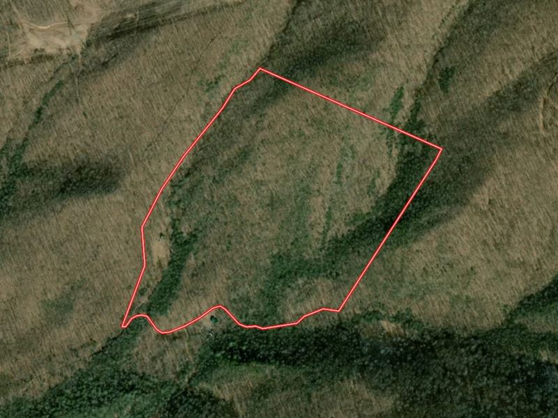 64.04 Acres of Hunting and Recreati : Rocky Gap : Bland County : Virginia