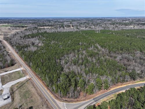 75 Acres in Lowndes County, MS : Columbus : Lowndes County : Mississippi