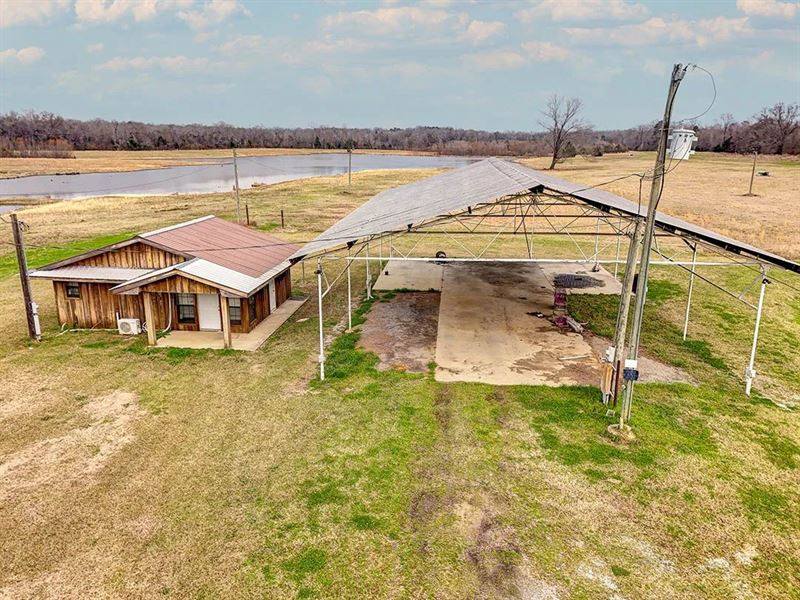 105 Acres with A Cabin in Claiborne : Port Gibson : Claiborne County : Mississippi